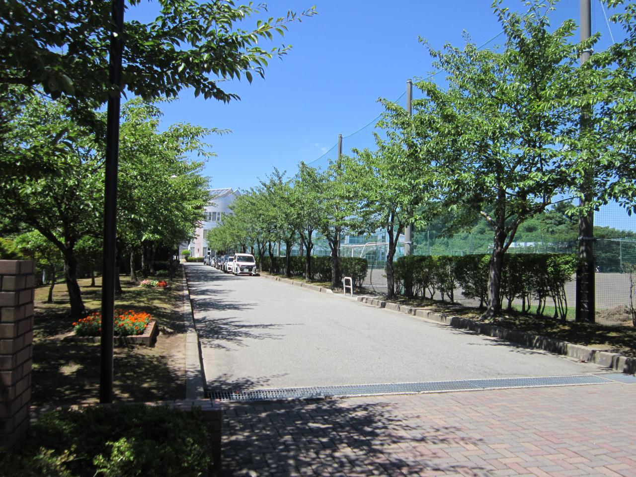 秋田市立桜中学校