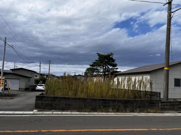 1995山本郡八峰町峰浜高野々字真山 前面道路含む現地写真 