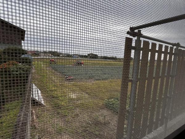 1962　能代市字下瀬 住戸からの眺望写真 