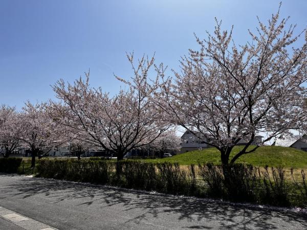 中古戸建 能代市落合字上前田 JR五能線向能代駅 2,280万円