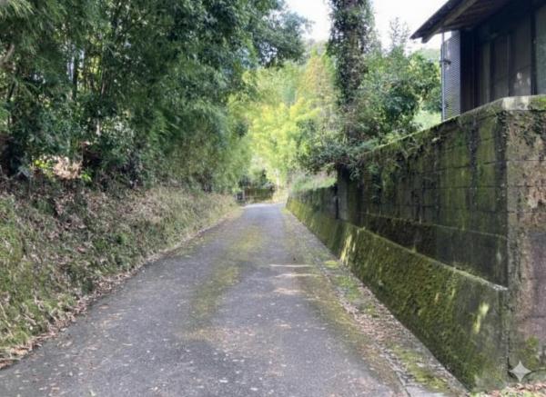 国分重久453番地1 前面道路含む現地写真 