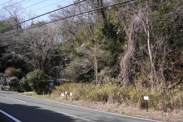 霧島田口2638番955 現地土地写真 