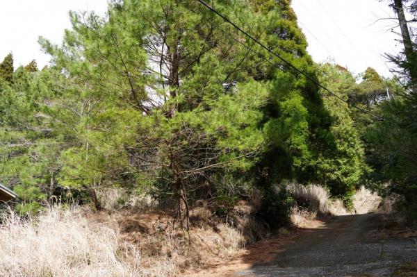土地 霧島市霧島田口2595-149  350万円