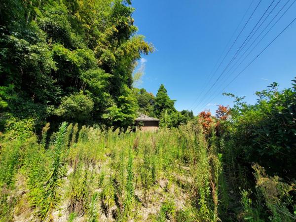 土地 姶良市住吉575番1、572番4 JR日豊本線帖佐駅 457万円