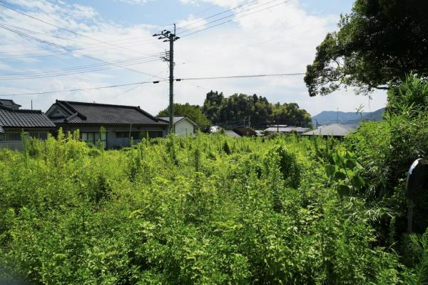 土地 霧島市隼人町姫城2640-1　A区画 JR肥薩線日当山駅 778万円