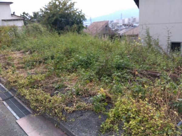 富士市今泉売土地 現地土地写真 