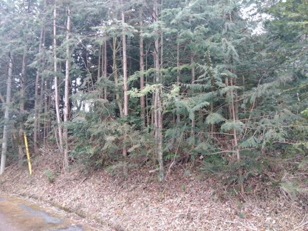 土地 富士宮市内野 身延線甲斐大島駅 180万円