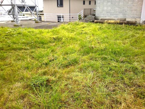 富士市今泉千日売土地 現地土地写真 