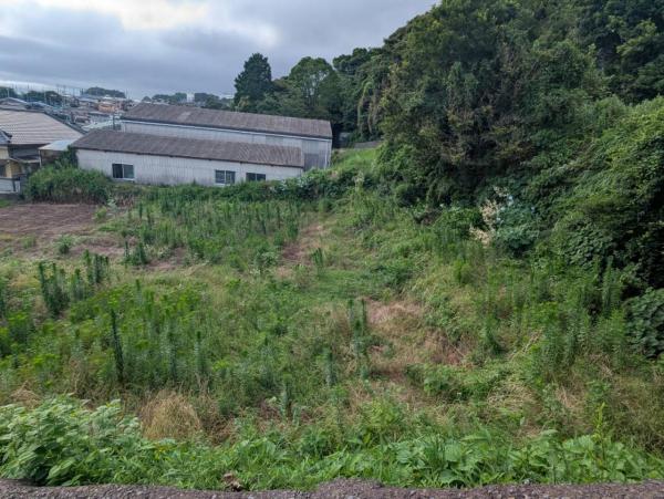 富士市富士岡売土地 現地土地写真 