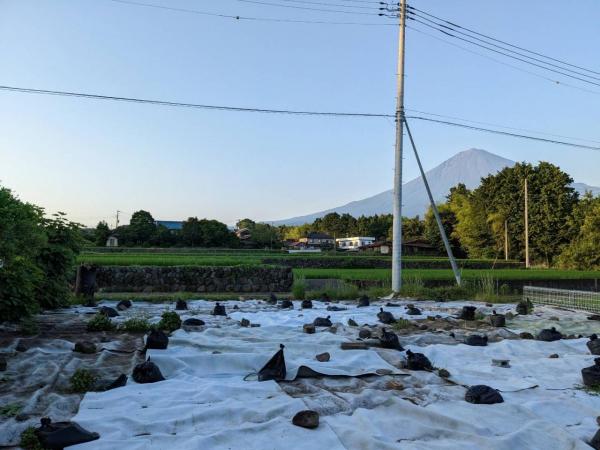 土地 富士宮市北山686-4 身延線西富士宮駅 150万円