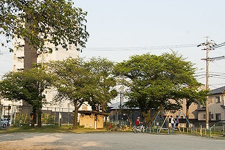 徳農公園