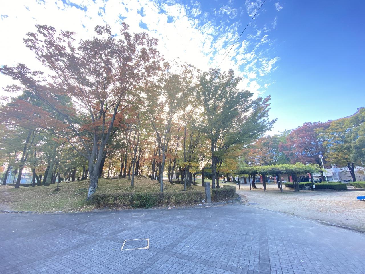 中央公園