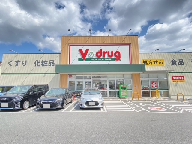 ブイドラッグ春日井西店