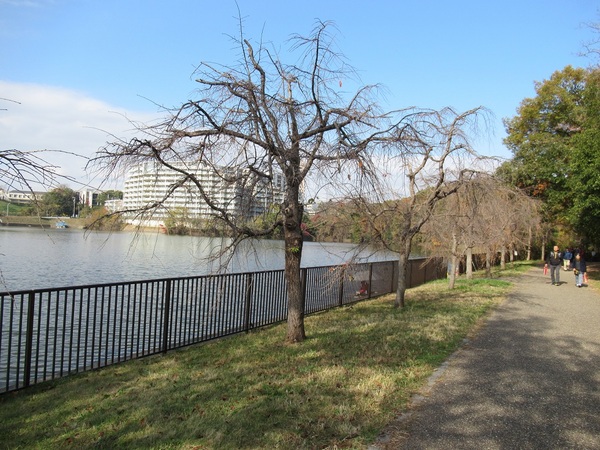 平和公園
