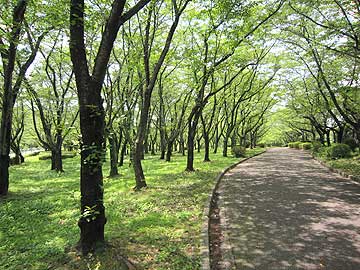 平和公園