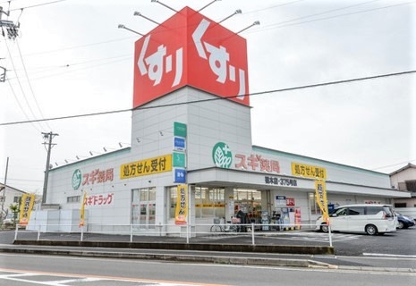 スギ薬局 篠木店