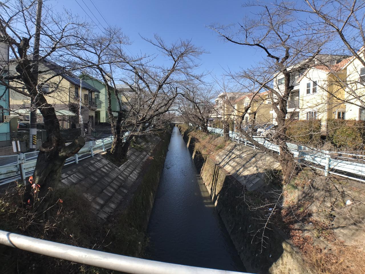 山崎川