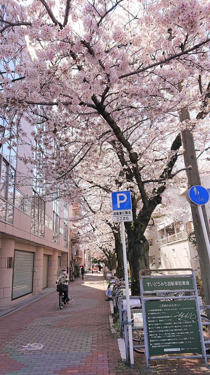 水道みち緑道