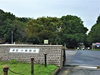 小幡緑地 (東園)