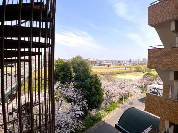 一光ハイツ千代田橋 住戸からの眺望写真 