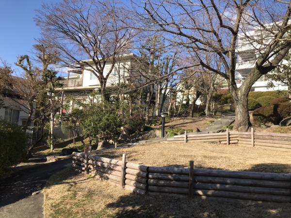 南ヶ丘アイリスB棟 庭