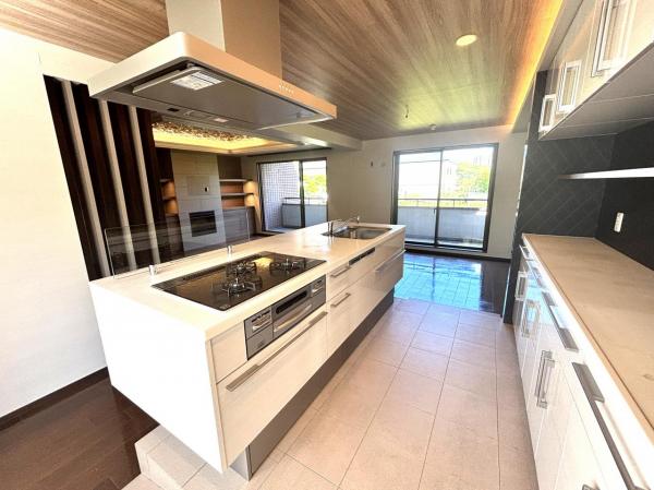 野村向山ヒルズ キッチン 