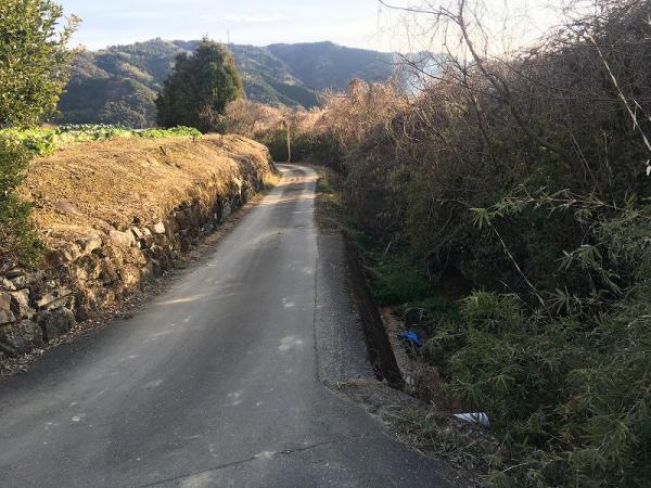 土佐市蓮池　売り土地　資材置場　1403坪 前面道路含む現地写真 