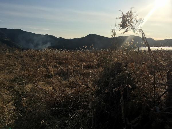 土佐市蓮池　売り土地　資材置場　1403坪 現地土地写真 