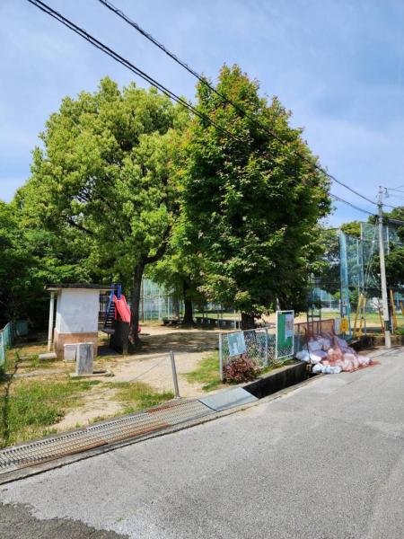 平和町　500 その他