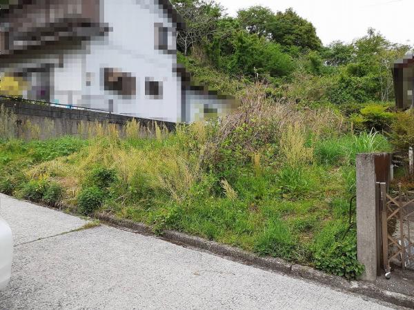 日高村下分　300 現地土地写真 