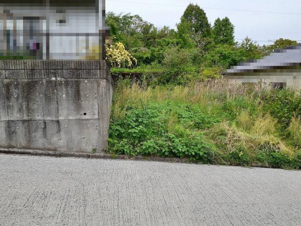 日高村下分　300 現地土地写真 