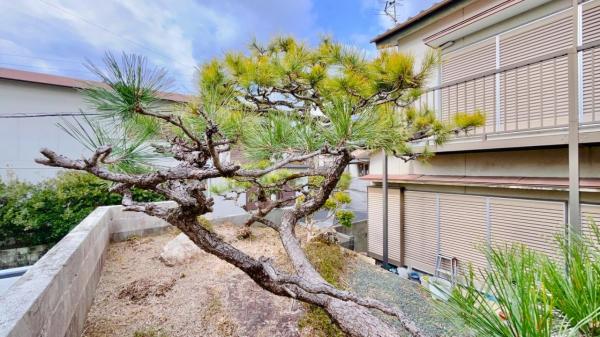 福井町1500万　注文建築用地 その他現地写真 