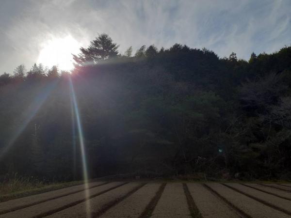 土地 高岡郡四万十町弘見  145万円