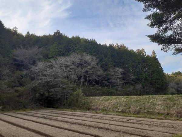 高岡郡四万十町弘見　145 その他現地写真 