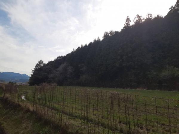 高岡郡四万十町弘見　145 現地土地写真 