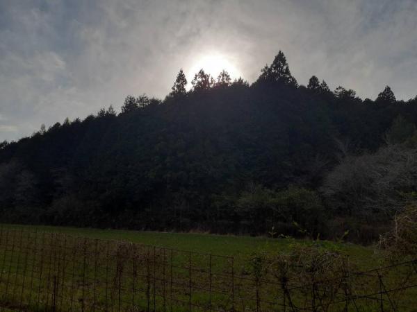 高岡郡四万十町弘見　145 その他現地写真 