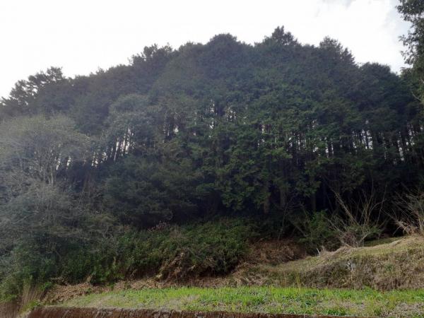 高岡郡四万十町弘見　120 その他現地写真 