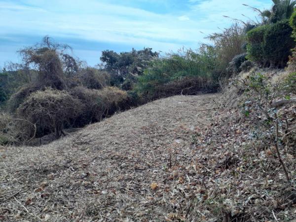 土地 安芸郡芸西村西分乙 土佐くろしお鉄道ごめん・なはり線西分駅 1,000万円