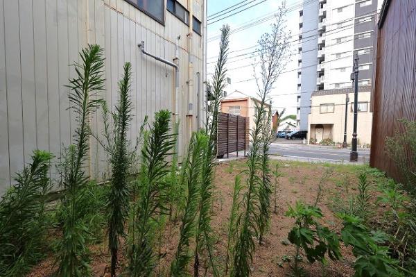 延岡市船倉町2丁目 現地土地写真 