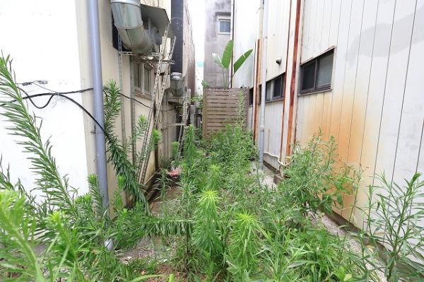 延岡市船倉町2丁目 現地土地写真 