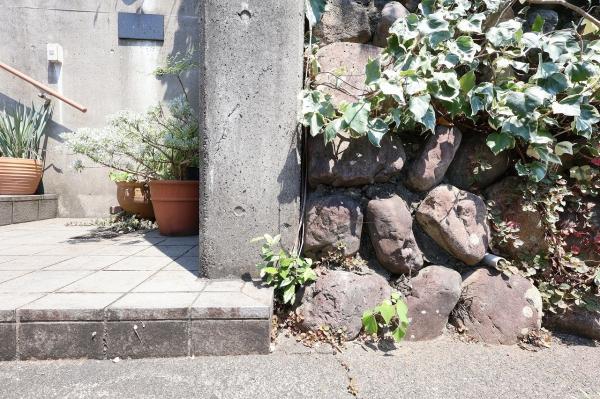 土地 延岡市若葉町２丁目2624-158 JR日豊本線南延岡駅 950万円