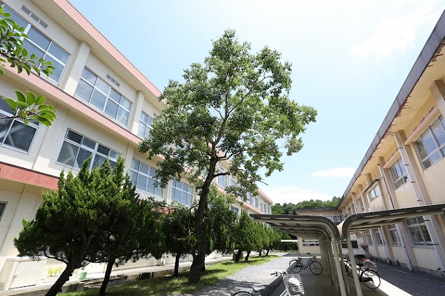 延岡市立土々呂中学校