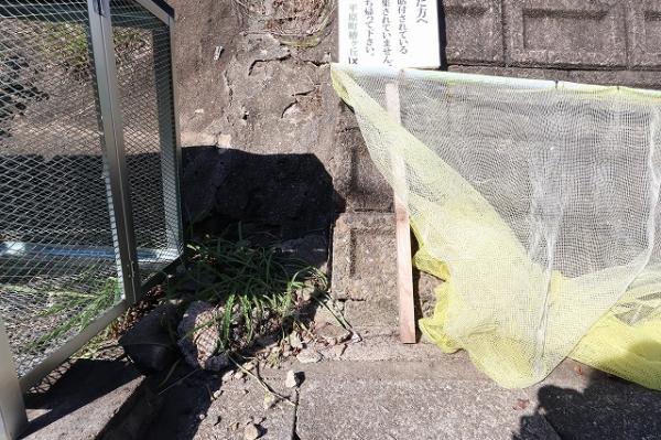 中古戸建 延岡市平原町３丁目2610-26 JR日豊本線南延岡駅 980万円