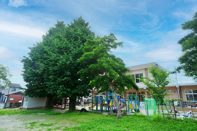 なかしま保育園