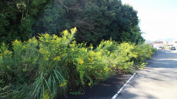 土地 日向市大字日知屋15618番 JR日豊本線門川駅 308万円