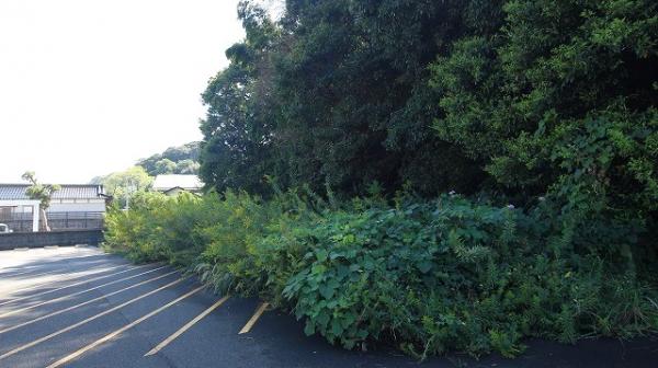 土地 日向市大字日知屋15618番 JR日豊本線門川駅 308万円