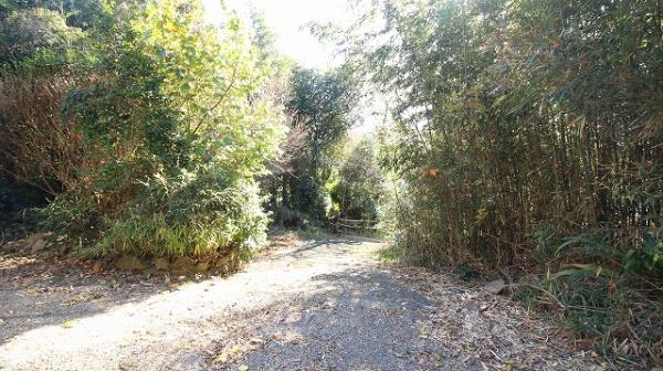 土地 日向市大字日知屋字西ノ原5467番2 JR日豊本線日向市駅 300万円