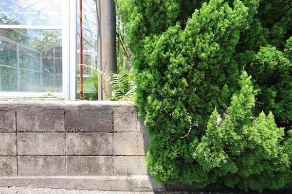 土地 延岡市平原町１丁目906-3、4、5 JR日豊本線南延岡駅 1,150万円