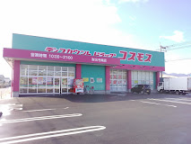 ドラッグストアコスモス 財光寺南店
