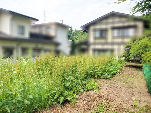 高山市三福寺町 住宅用土地 60.50坪 現地土地写真 